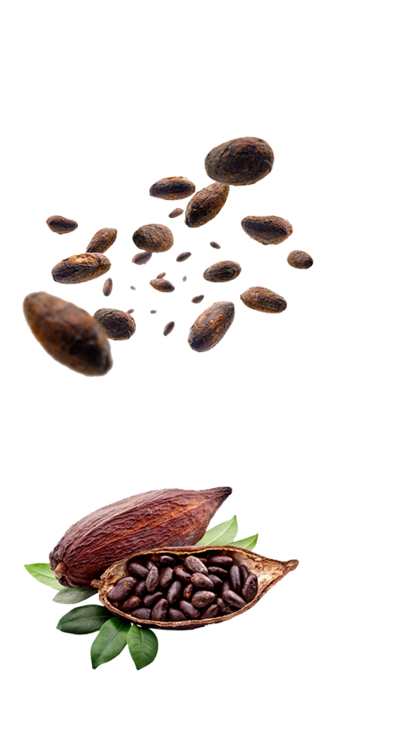 choco-left